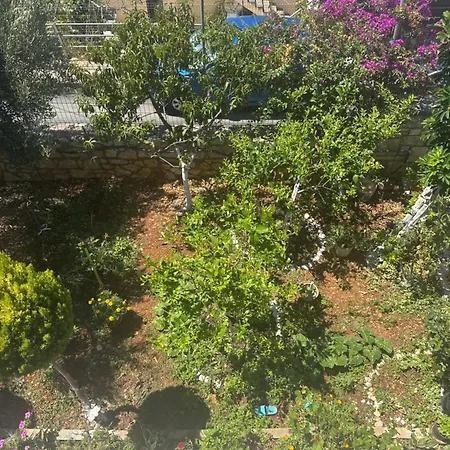 Eleonora & Kyriakos 3*