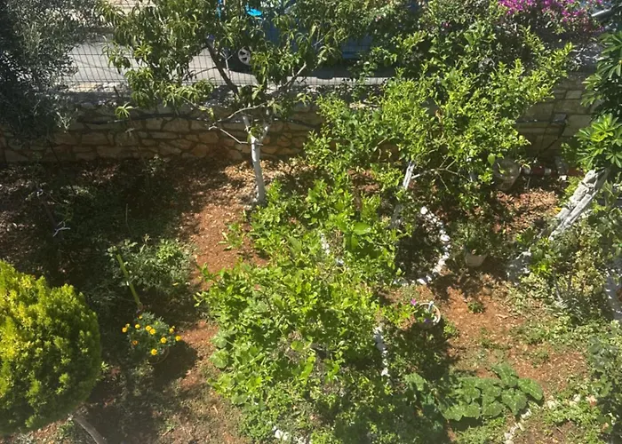 Eleonora & Kyriakos 3*